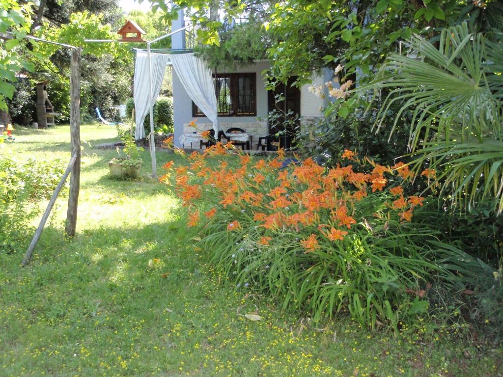 Appartement Miri