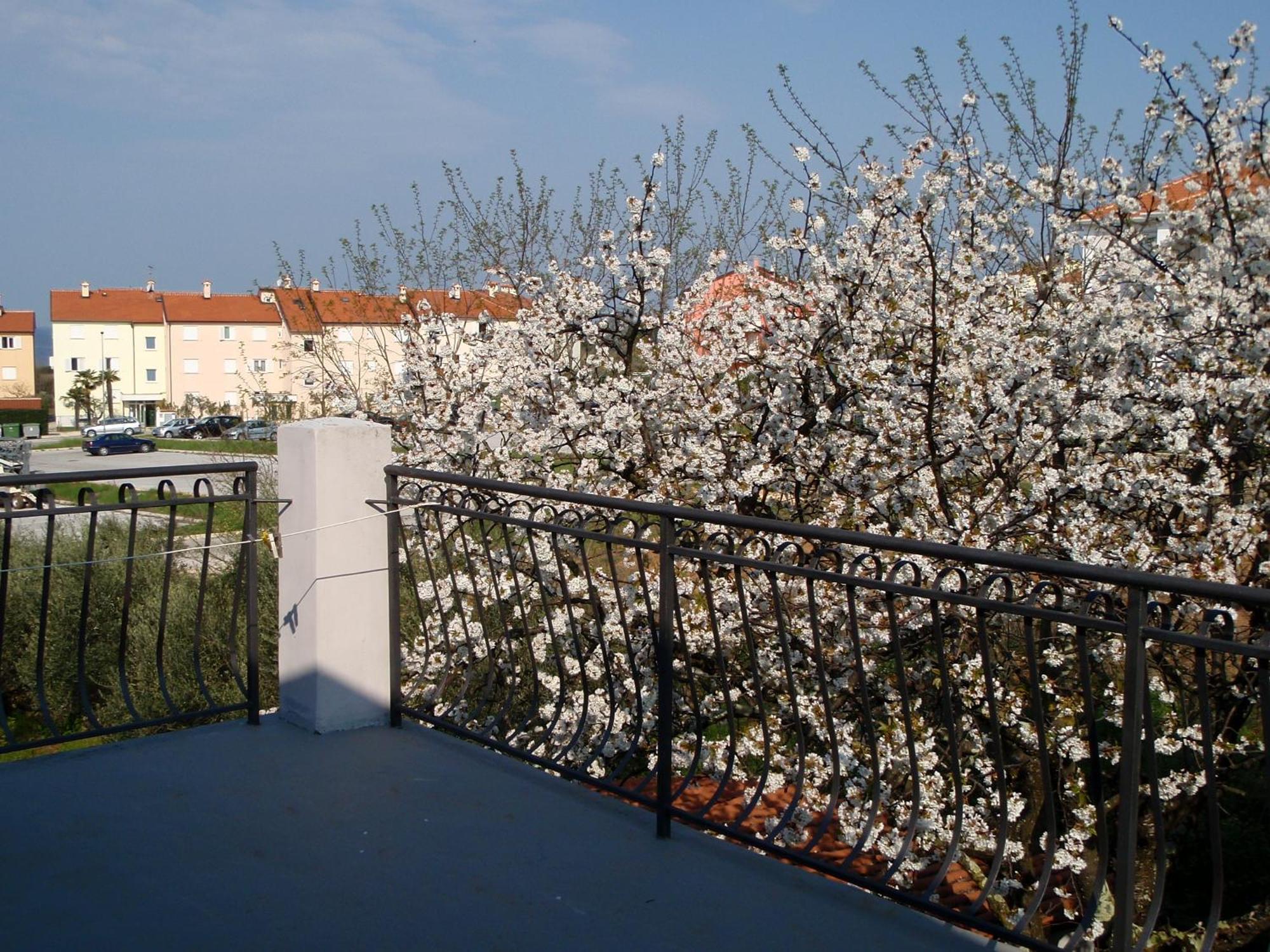 Miri * Zambratija (Istria)