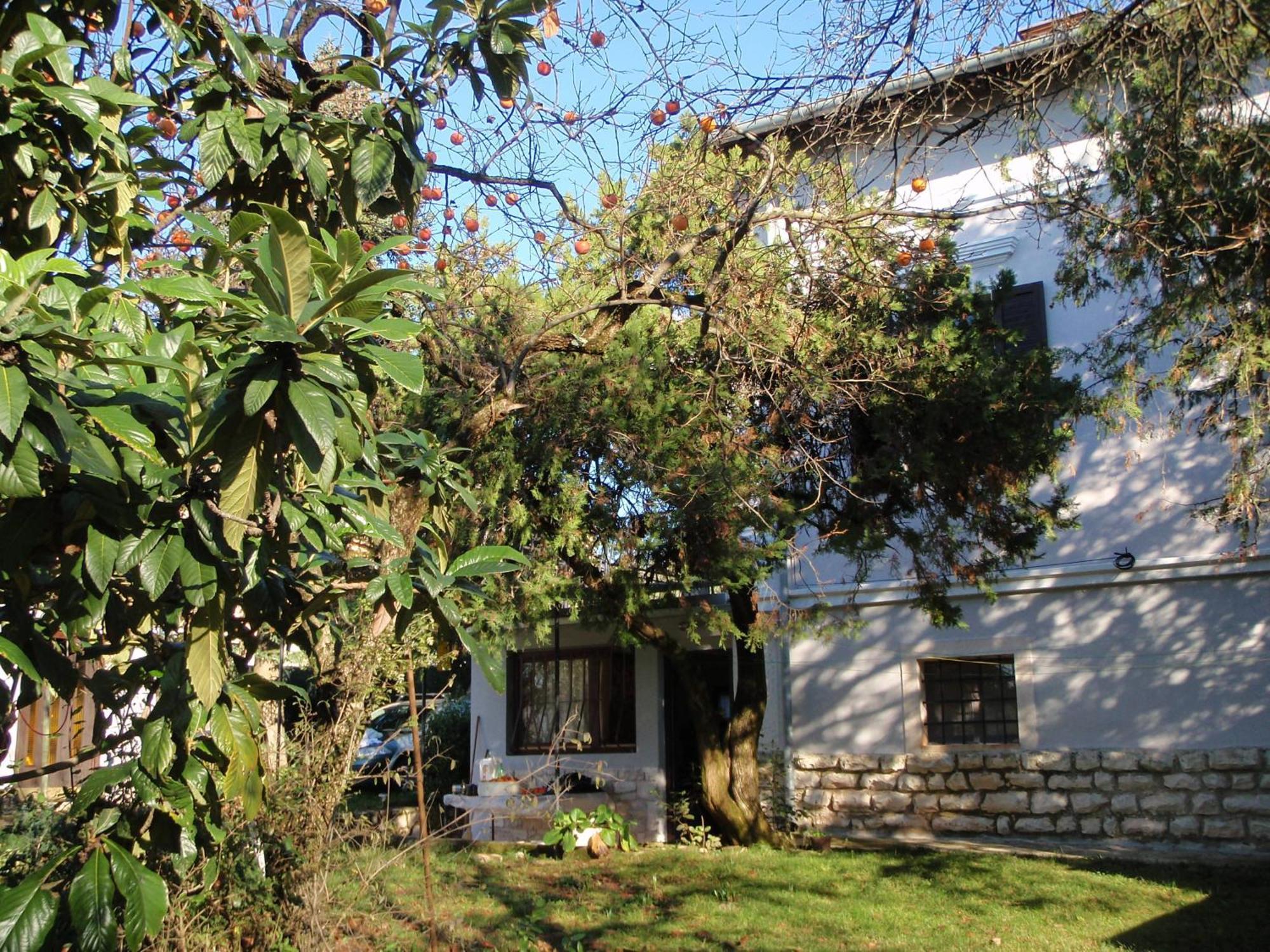 Miri Apartment