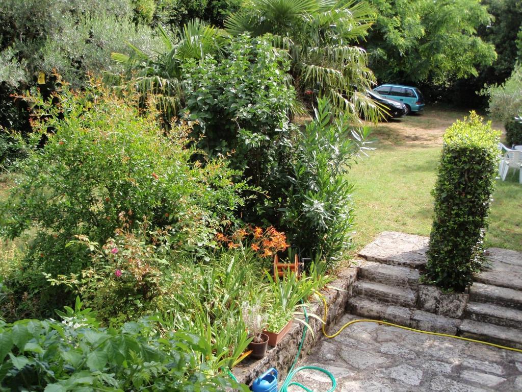 Miri Zambratija (Istria)