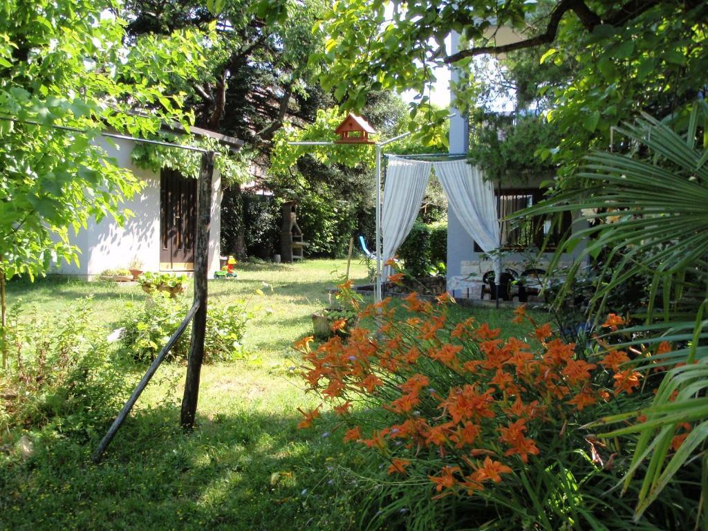 Apartment Miri Zambratija (Istria)