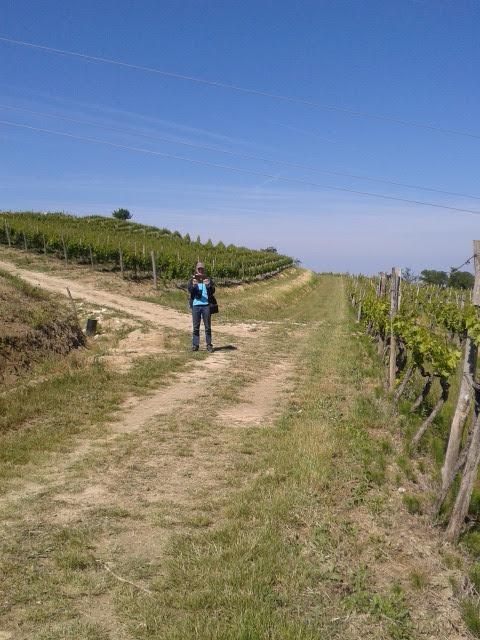 Miri * Zambratija (Istria)