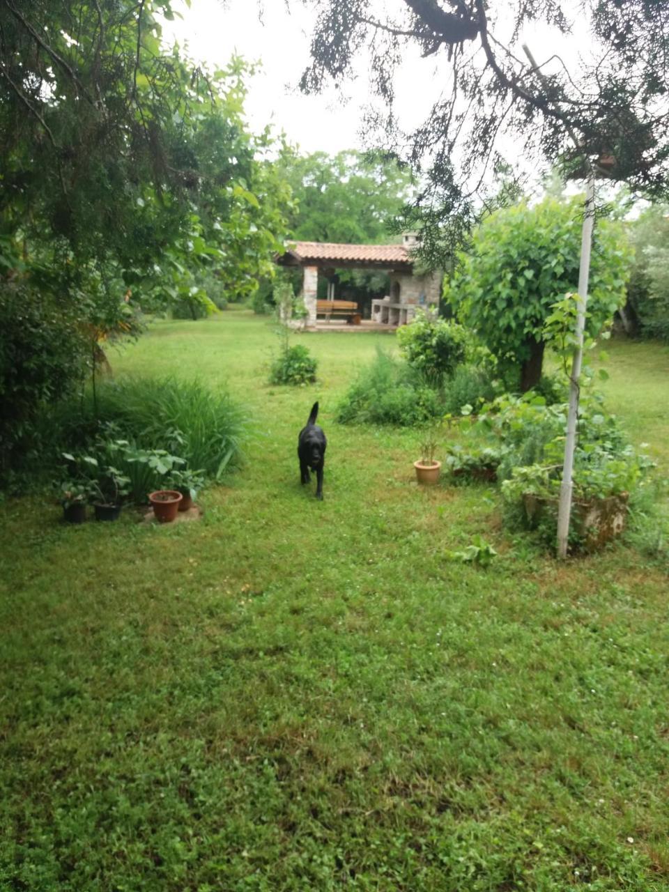 Miri Apartment *